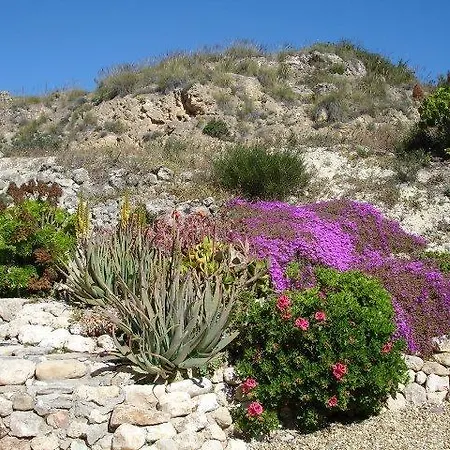 Almond Reef Casa Rural * Los Alias